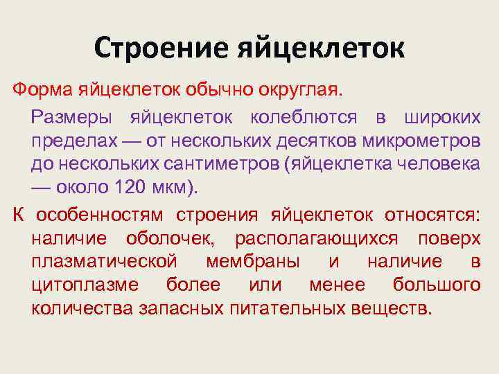 Строение яйцеклеток Форма яйцеклеток обычно округлая. Размеры яйцеклеток колеблются в широких пределах — от
