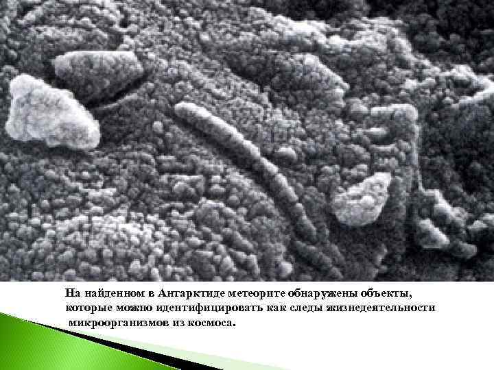 На найденном в Антарктиде метеорите обнаружены объекты, которые можно идентифицировать как следы жизнедеятельности микроорганизмов