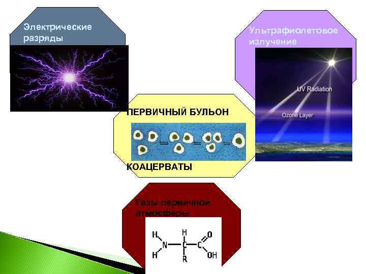 Электрические разряды Ультрафиолетовое излучение ПЕРВИЧНЫЙ БУЛЬОН КОАЦЕРВАТЫ Газы первичной атмосферы 