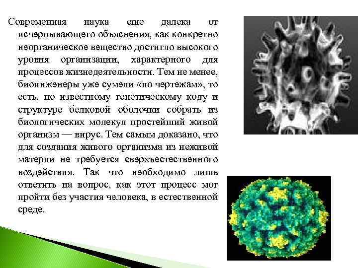 Современная наука еще далека от исчерпывающего объяснения, как конкретно неорганическое вещество достигло высокого уровня