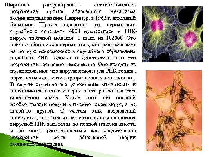 Широкого распространено «статистическое» возражение против абиогенного механизма возникновения жизни. Например, в 1966 г. немецкий