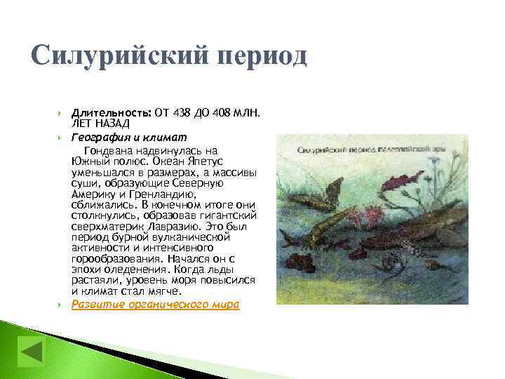 Силурийский период Длительность: ОТ 438 ДО 408 МЛН. ЛЕТ НАЗАД География и климат Гондвана