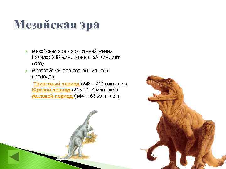 Мезойская эра - эра ранней жизни Начало: 248 млн. , конец: 65 млн. лет