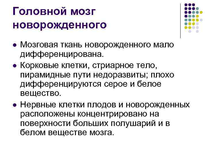 Головной мозг новорожденного l l l Мозговая ткань новорожденного мало дифференцирована. Корковые клетки, стриарное