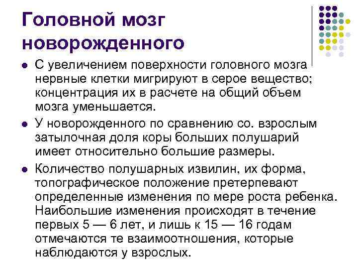 Головной мозг новорожденного l l l С увеличением поверхности головного мозга нервные клетки мигрируют