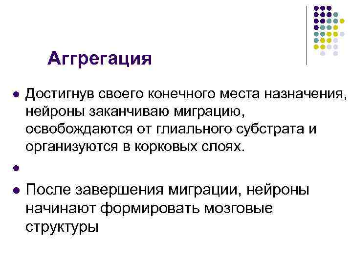 Аггрегация l Достигнув своего конечного места назначения, нейроны заканчиваю миграцию, освобождаются от глиального субстрата