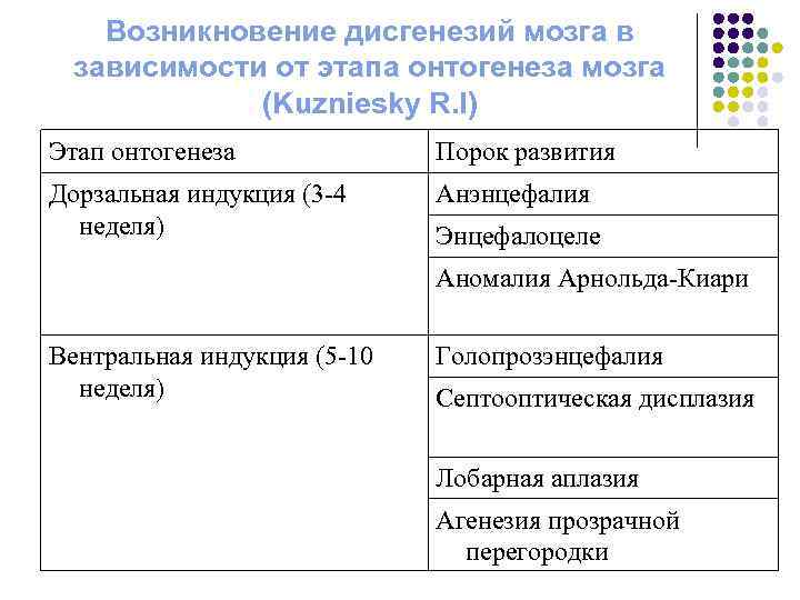 Возникновение дисгенезий мозга в зависимости от этапа онтогенеза мозга (Kuzniesky R. I) Этап онтогенеза