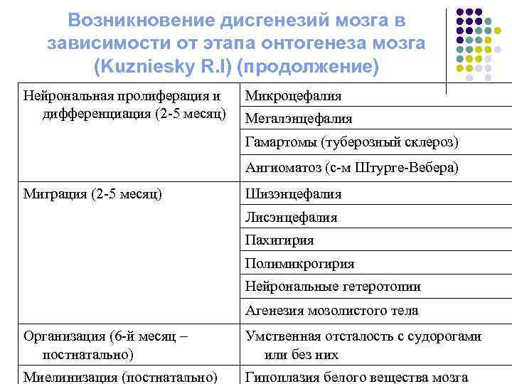 Возникновение дисгенезий мозга в зависимости от этапа онтогенеза мозга (Kuzniesky R. I) (продолжение) Нейрональная