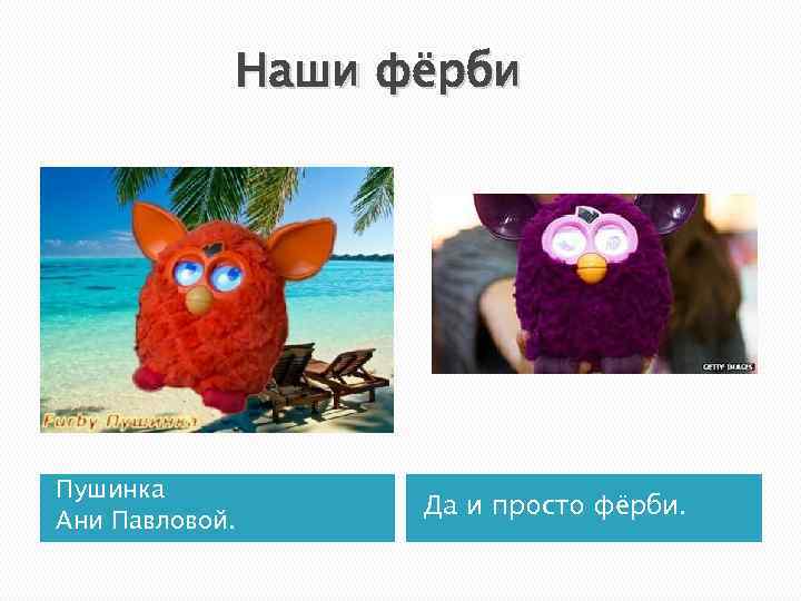 Наши фёрби Пушинка Ани Павловой. Да и просто фёрби. 