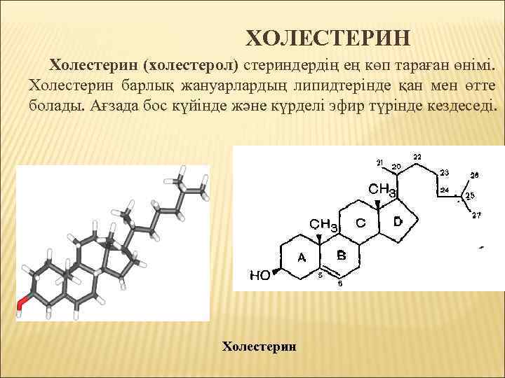 ХОЛЕСТЕРИН Холестерин (холестерол) стериндердің ең көп тараған өнімі. Холестерин барлық жануарлардың липидтерінде қан мен