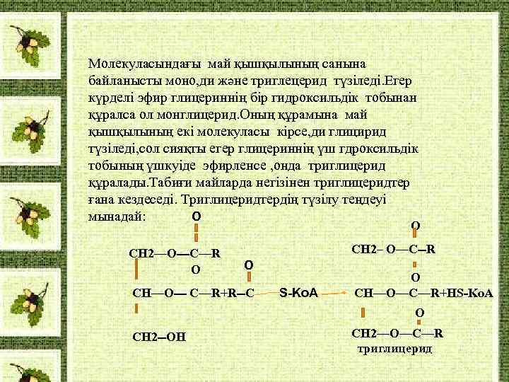 Молекуласындағы май қышқылының санына байланысты моно, ди және триглецерид түзіледі. Егер күрделі эфир глицериннің