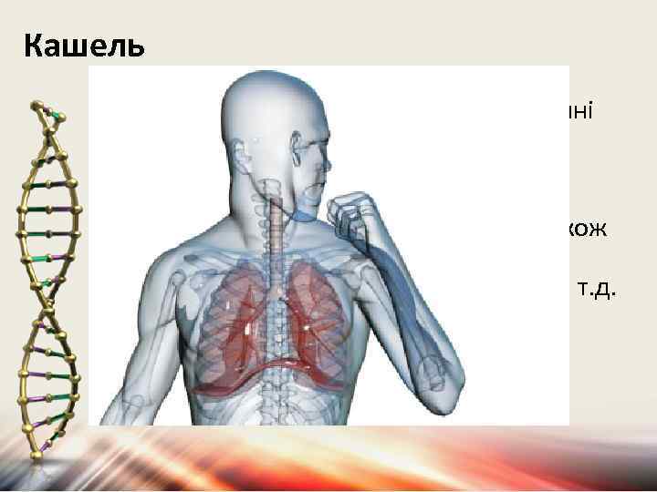 Кашель • Кашель говорить про захворювання органів дихання. Виникає при запаленні слизової оболонки дихальних