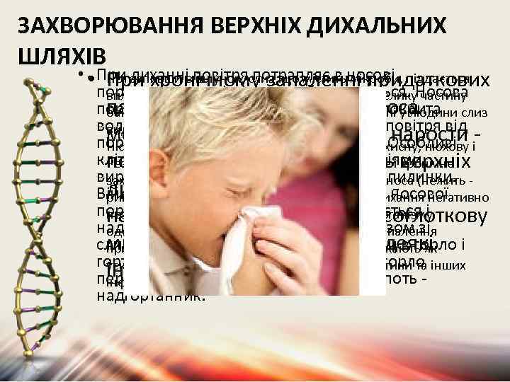 ЗАХВОРЮВАННЯ ВЕРХНІХ ДИХАЛЬНИХ ШЛЯХІВ • • При диханні повітря потрапляє в носові Потрапивши в