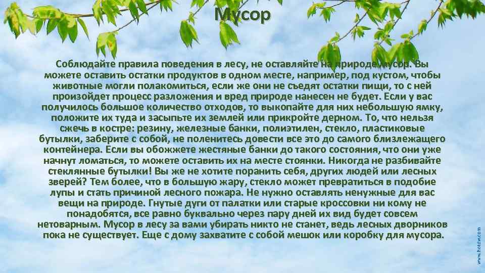Мусор Соблюдайте правила поведения в лесу, не оставляйте на природе мусор. Вы можете оставить