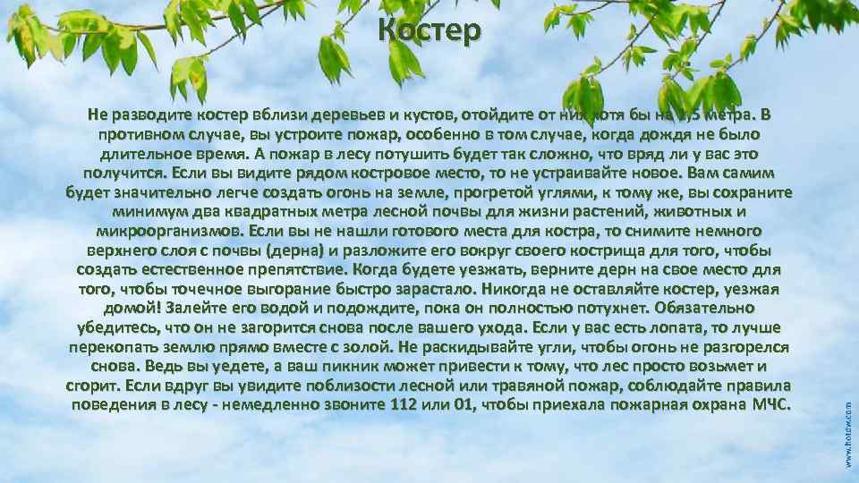 Костер Не разводите костер вблизи деревьев и кустов, отойдите от них хотя бы на