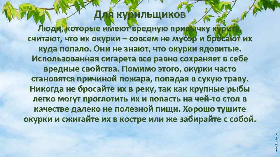 Для курильщиков Люди, которые имеют вредную привычку курить, считают, что их окурки – совсем