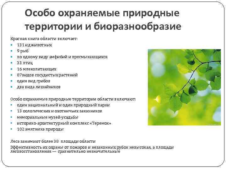 Особо охраняемые природные территории и биоразнообразие Красная книга области включает: 131 ид животных 9 рыб