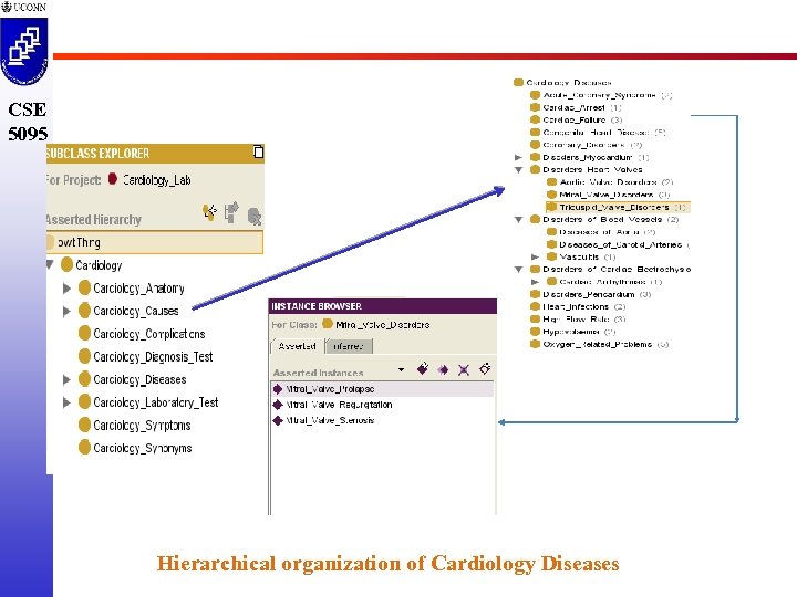 CSE 5095 Hierarchical organization of Cardiology Diseases 