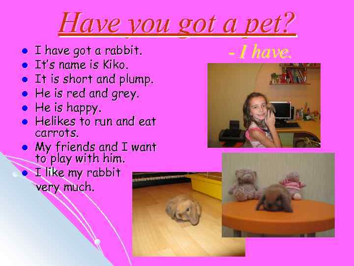 Have you got a pet? l l l l I have got a rabbit.