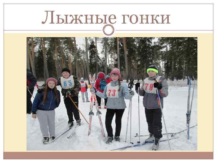 Лыжные гонки 