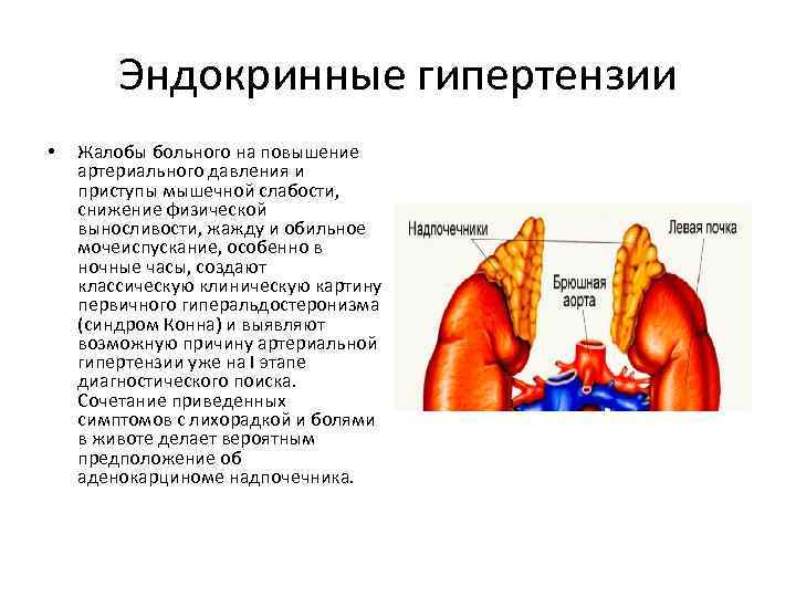 хроническая артериальная гипертония