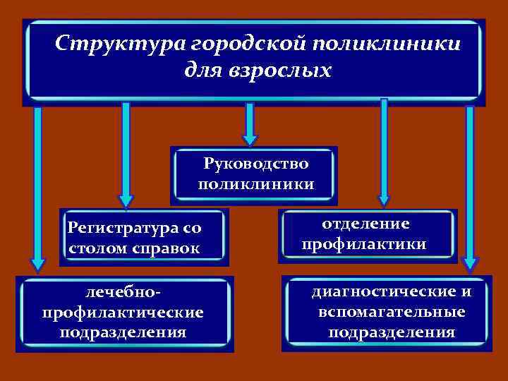 Структура городской поликлиники для взрослых Руководство поликлиники Регистратура со столом справок лечебнопрофилактические подразделения отделение