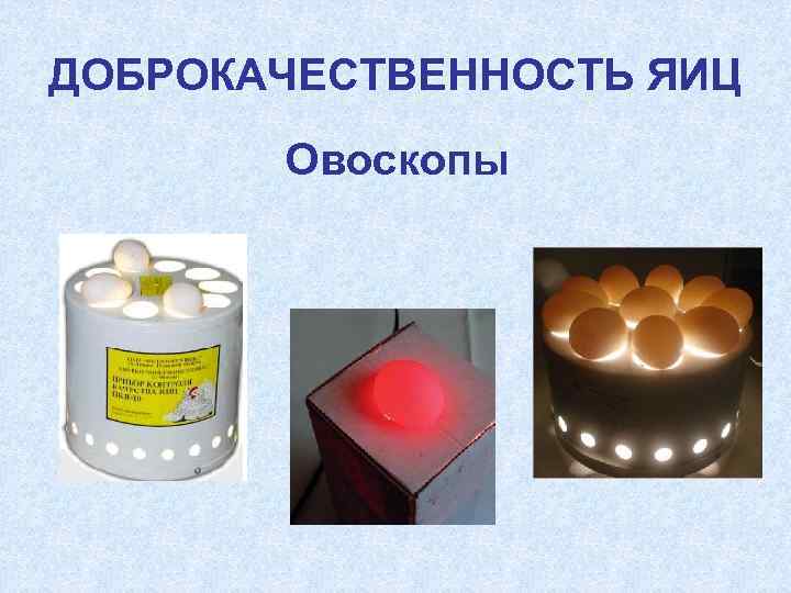 ДОБРОКАЧЕСТВЕННОСТЬ ЯИЦ Овоскопы 