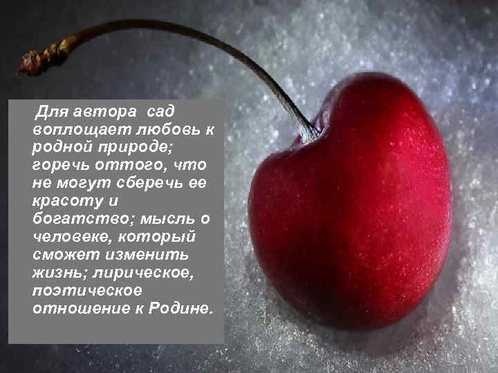  Для автора сад воплощает любовь к родной природе; горечь оттого, что не могут