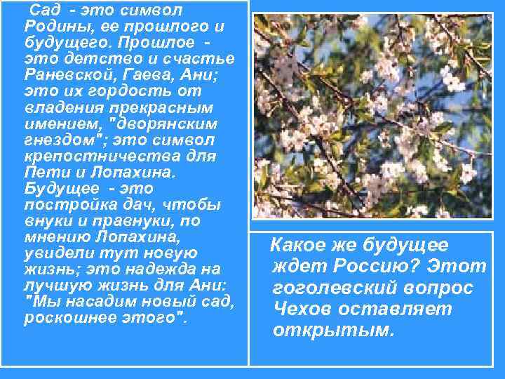  Сад - это символ Родины, ее прошлого и будущего. Прошлое - это детство