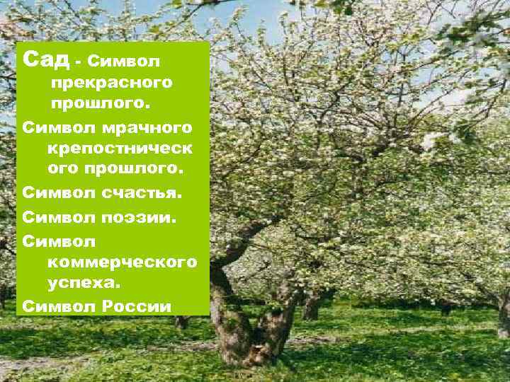 Сад - Символ прекрасного прошлого. Символ мрачного крепостническ ого прошлого. Символ счастья. Символ поэзии.