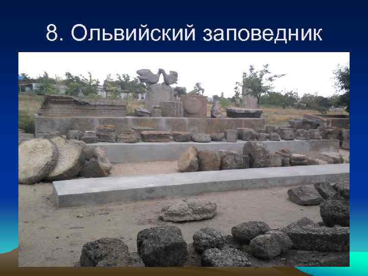 8. Ольвийский заповедник 