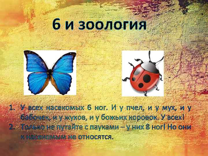 6 и зоология 