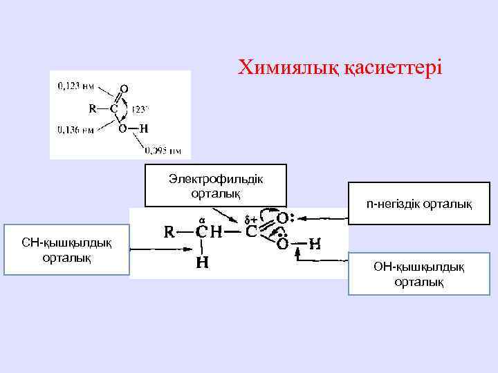 Химиялық қасиеттері Электрофильдік орталық СН-қышқылдық орталық n-негіздік орталық ОН-қышқылдық орталық 