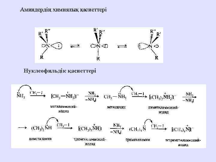 Аминдердің химиялық қасиеттері Нуклеофильдік қасиеттері 