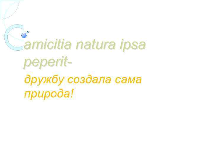 amicitia natura ipsa peperitдружбу создала сама природа! 