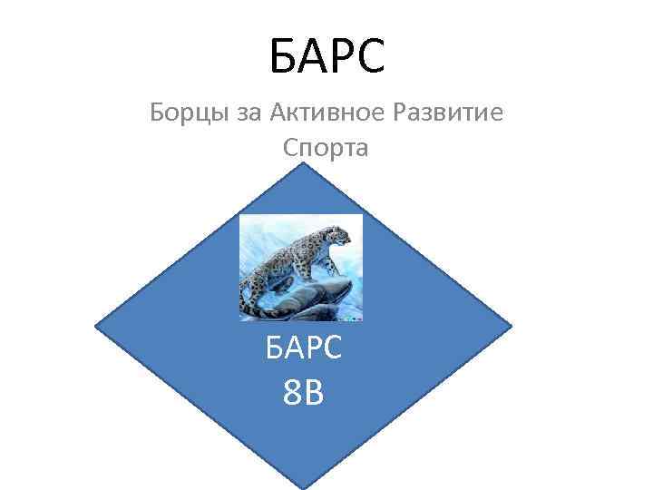 БАРС Борцы за Активное Развитие Спорта БАРС 8 В 