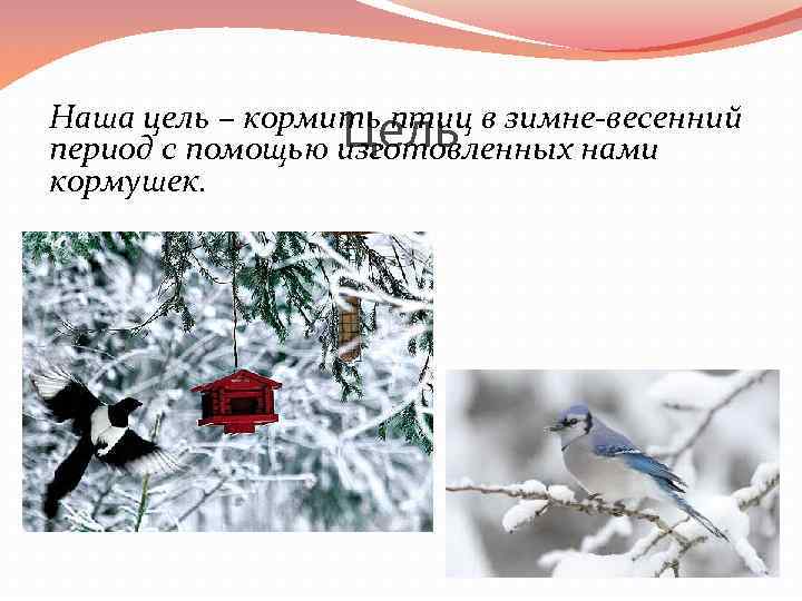 Цель Наша цель – кормить птиц в зимне-весенний период с помощью изготовленных нами кормушек.