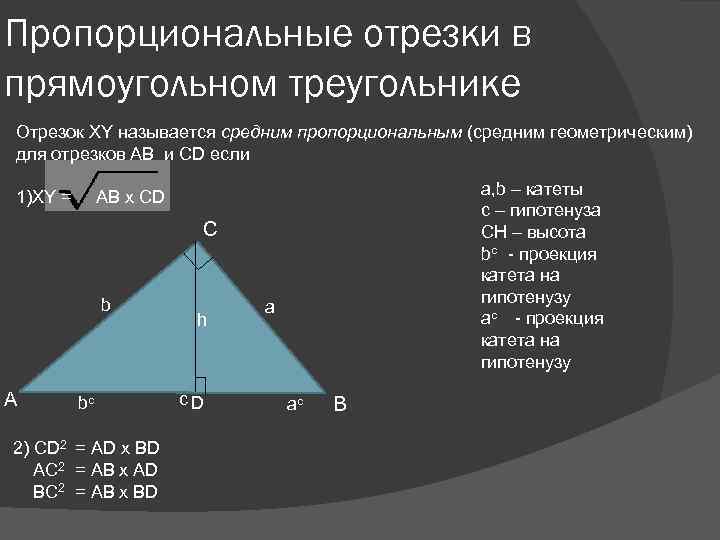 Пропорциональные отрезки в прямоугольном треугольнике Отрезок XY называется средним пропорциональным (средним геометрическим) для отрезков