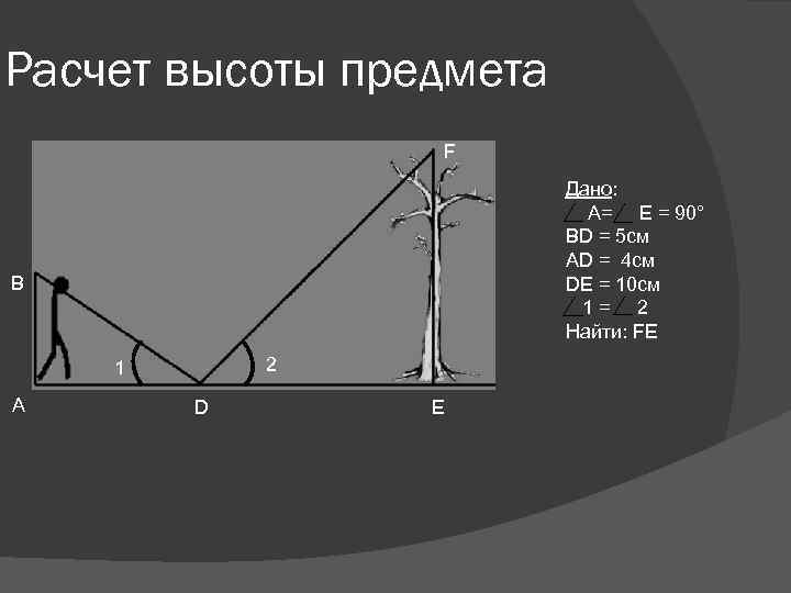 Расчет высоты предмета F Дано: A= E = 90° BD = 5 см AD