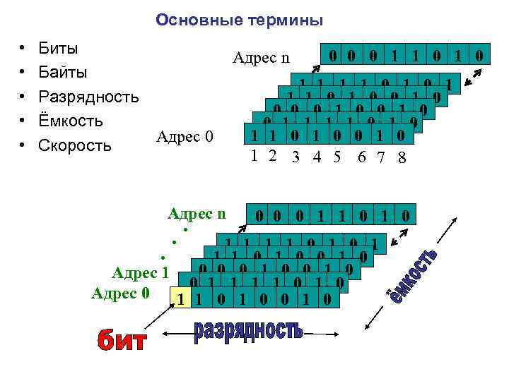 Основные термины • • • Биты Байты Разрядность Ёмкость Скорость Адрес n Адрес 0