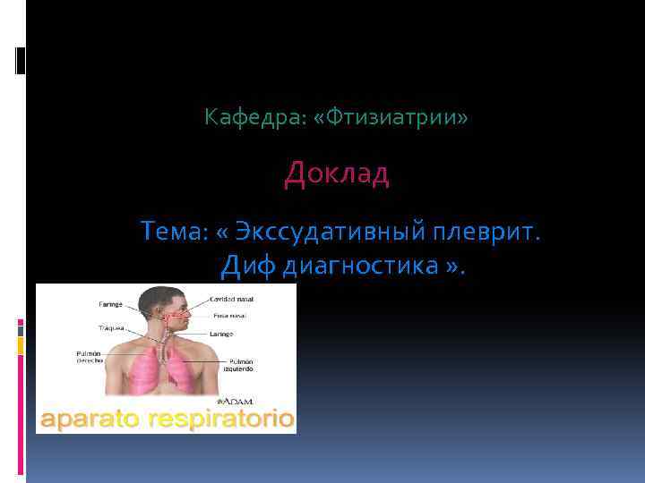 Кафедра: «Фтизиатрии» Доклад Тема: « Экссудативный плеврит. Диф диагностика » . 