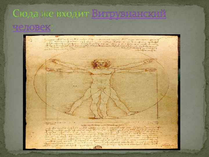Сюда же входит Витрувианский человек: 