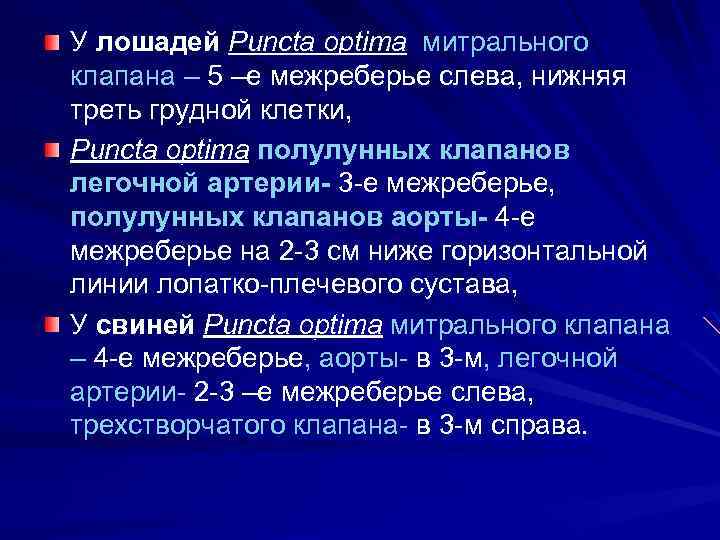 У лошадей Puncta optima митрального клапана – 5 –е межреберье слева, нижняя треть грудной