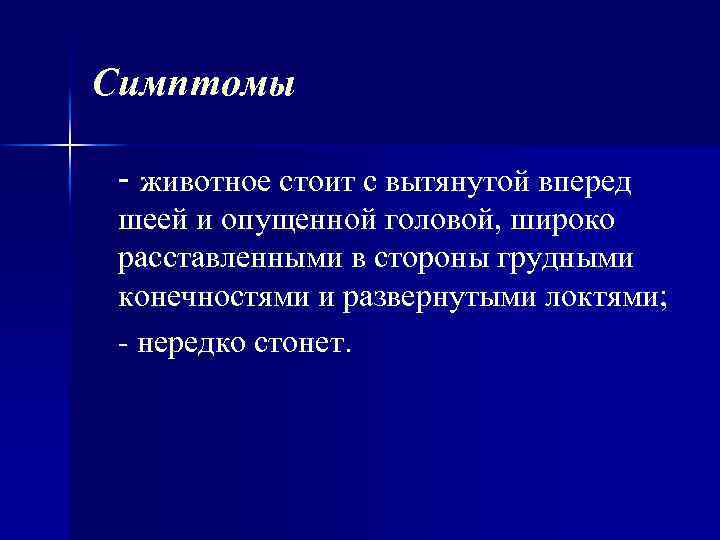 Симптомы - животное стоит с вытянутой вперед шеей и опущенной головой, широко расставленными в