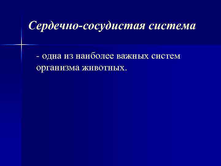 Сердечно-сосудистая система одна из наиболее важных систем организма животных. 