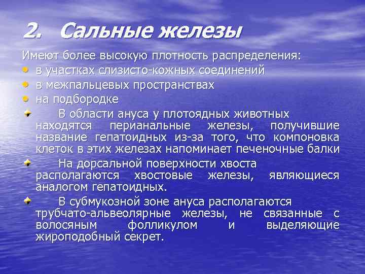 2. Сальные железы Имеют более высокую плотность распределения: • в участках слизисто-кожных соединений •