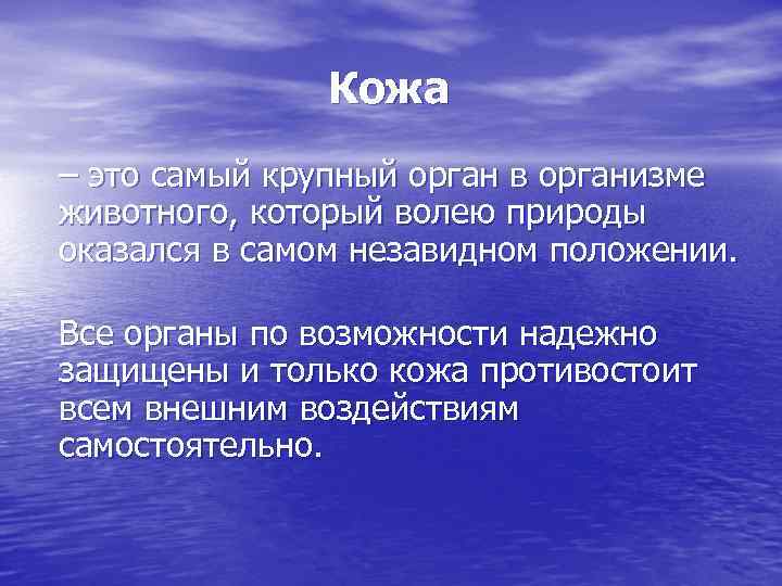 Кожа – это самый крупный орган в организме животного, который волею природы оказался в