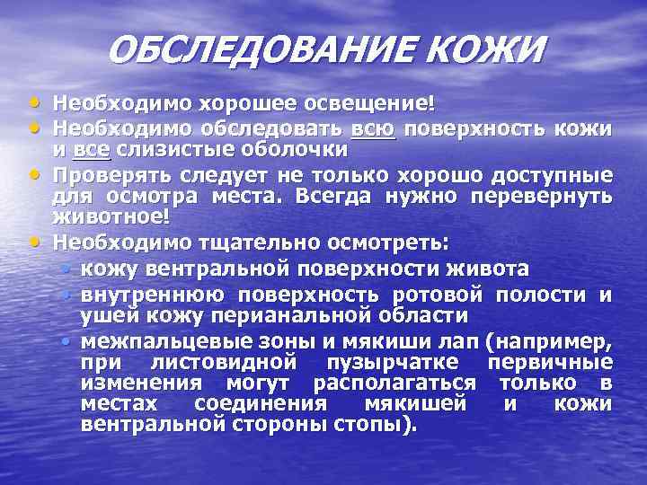 ОБСЛЕДОВАНИЕ КОЖИ • Необходимо хорошее освещение! • Необходимо обследовать всю поверхность кожи • •