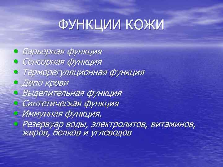 ФУНКЦИИ КОЖИ • Барьерная функция • Сенсорная функция • Терморегуляционная функция • Депо крови