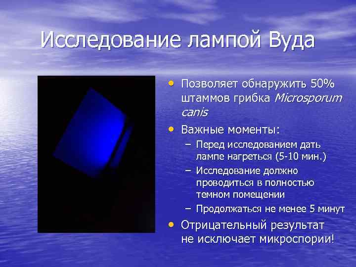 Исследование лампой Вуда • Позволяет обнаружить 50% штаммов грибка Microsporum canis • Важные моменты: